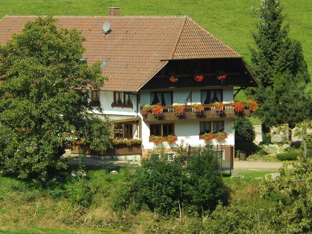 Ferienwohnung Schüsselehof Oberprechtal Exterior foto